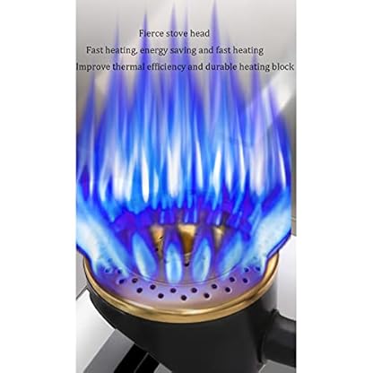 10 l/20 l professionelle kommerzielle Gasfritteuse, Restaurant-Edelstahl-LPG-Doppelschlitz-Fritteuse, Pommes-Frites-Fisch-Desktop-Küchenfritteuse mit Frittierkorb und Deckel, Burger-Shop-Bratpfanne – Bild 6