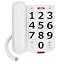 02-Large Button Phones
