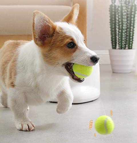 Amazon | ボールランチャー 犬用投げるおもちゃ ペットおもちゃ 犬用 