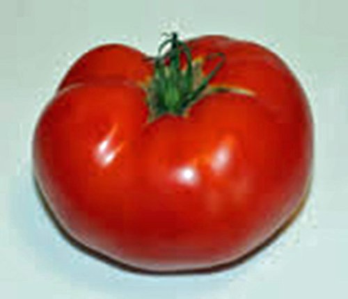 Tomato, Rutgers, Heirloom, 500 Seeds, Deliciously Sweet RED Tasty Fruit