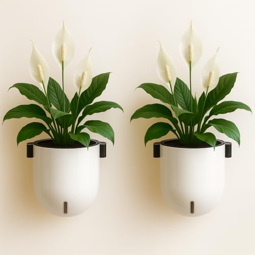 Image of Indian Discovery Self Watering Wall Hanging Planter| Hanging /Hooked Flower Pots for Home, Terrace, Balcony, Vertical Garden Decor Flower Pots(2 PC,WHITE,SPHERE)|6 Inch UV-Resistant Plastic Plant Pots