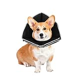 CUTE CLAW Dog Cone Collar, Adjustable Soft Recovery Collars Used for Wound Healing After Surgery,...