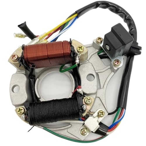 Plaque d'allumage magnéto avec double bobine pour moteur DY100 quad