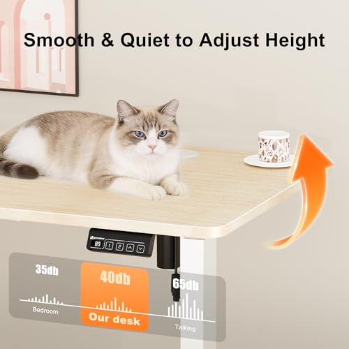 Image of ERGOMAKER Electric Standing Desk 120x60cm (47.2 inchx23.6 inch), Height Adjustable Sit Stand Desk with Splice Board for Home Office, Computer Desk Memory Preset (White Frame + Golden Oak Desktop)