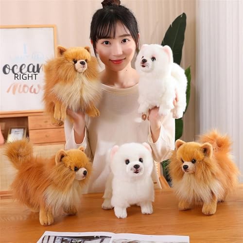 RDCIRP Simulation Pomeranian Plüsch, süßes Kuscheltier, Plüsch-Hundespielzeug, Flauschige Hunde-Plüschpuppe, Geschenke for Jungen und Mädchen for Geburtstag(braun)