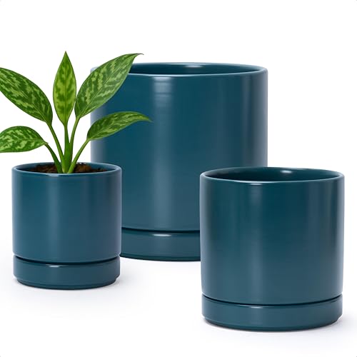 D'Vine Dev 94-T-M-9 Türkisblaue Keramik Blumentöpfe Set