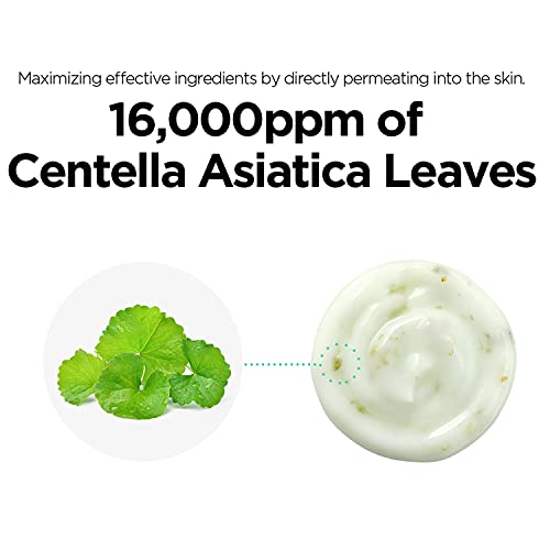 Skinrxlab Made Cera Cica Leaf Melting Lotion 130Ml (4.4 Fl.oz.) - Soothing And Hydrating Face Lotion For Acne-Prone Skin, With Centella Asiatica And Lactobacilus Extract, Skin Regenerating And Ph Balancing #TOP4