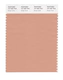 PANTONE Smart 15-1322X Color Swatch Card,Dusty Coral
