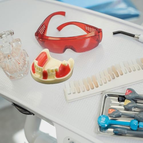 Modèle dentaire mandibulaire pour implants avec gencive pour réalisation de lambeaux - 4