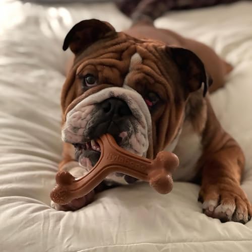 Image of Nylabone Ergonomic Hold Wishbone Power Chew Toy for Dogs, Dog Toys for Aggressive Chewers, Bison Flavor, Large - Up to 50 lbs, 1 Count