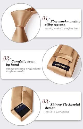 Image of HISDERN Mens Solid Color Ties Formal Satin Necktie and Pocket Square Set Classic Wedding Business Tie & Handkerchief