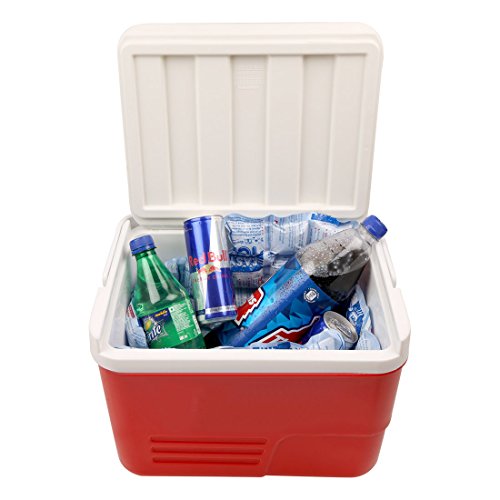 Easy Ice 3 dry gel ice Pack for Ice Box, Cold/Hot Therapy. Each sheet 10 x 7 inch.