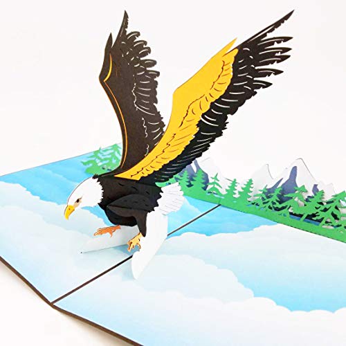 Eagle Pop Up Birthday Card - Happy Birthday Pop Up Card for son, daughter, wife, friends, Nature, Wild Animal, Bird lovers | Pop Card Express (Eagle Pop Up Card)