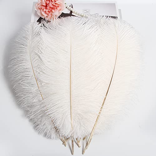 Tharaht 24Pcs White Ostrich Feathers Natural Bulk 10-12Inch 25Cm-30Cm For Wedding Party Centerpieces Easter Gatsby And Home Decorate Ostrich Feathers #TOP3