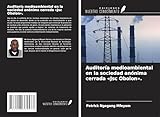  Auditoría medioambiental en la sociedad anónima cerrada \'Jsc Obolon\'.