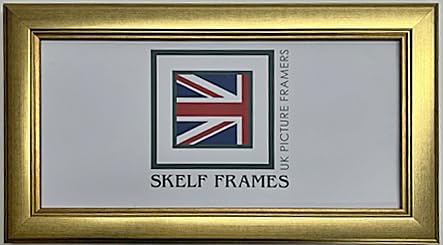 20" x 6" PANORAMIC PICTURE PHOTO POSTER FRAME WITH GLASS (Champagne Gold) โ image 1