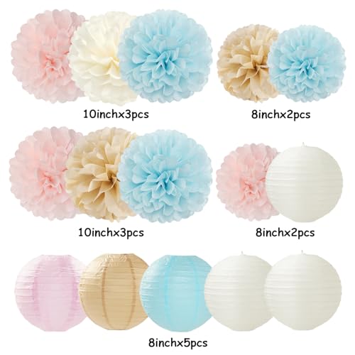Image of Light-Blue Pink Champagne Gender-Reveal Party-Decorations - 15pcs Boy Or Girl Paper Flowers Tissue Pom Poms Lanterns Streamers,Birthday Bear Baby Shower Neutral Hanging Supplies Decor Hugfond