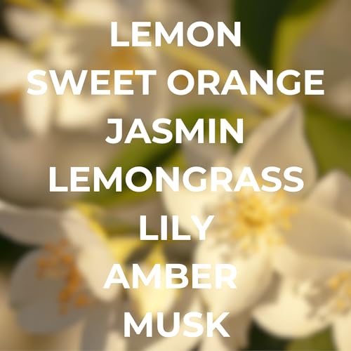 Image of Car Air Freshener - Premium Car Hanging Air Freshener, Long-Lasting Fragrance for Auto and Home (0.2 Fl Oz (Pack of 2), Italian Summer-Orange, Bergamot, Lemongrass, Woods)
