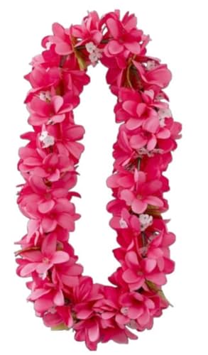 yPINKzoB nCA vA C ̃ANZgɂł nCACeA nCG  t[ Ǌ| nC  fBXvC t_X  j nCCxg \  v[g  n