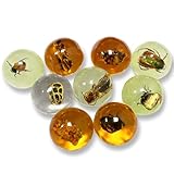 9 pcs Insect Amber Fossils, BOSOIRSOU Fossil Pendants, Different Insect Specimen, Bug Preserved in Resin, Educational and Scientific Amber Collections - Random Patterns
