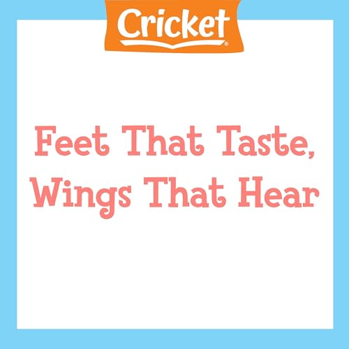 Enjoy Feet That Taste, Wings That Hear from Damian Fagan episode artwork