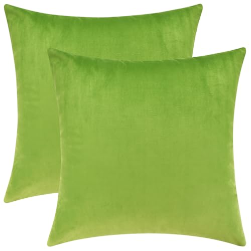 Image of Mixhug Decorative Throw Pillow Covers, Velvet Cushion Covers, Solid Throw Pillow Cases for Couch and Bed Pillows, Chartreuse, 20 x 20 Inches, Set of 2