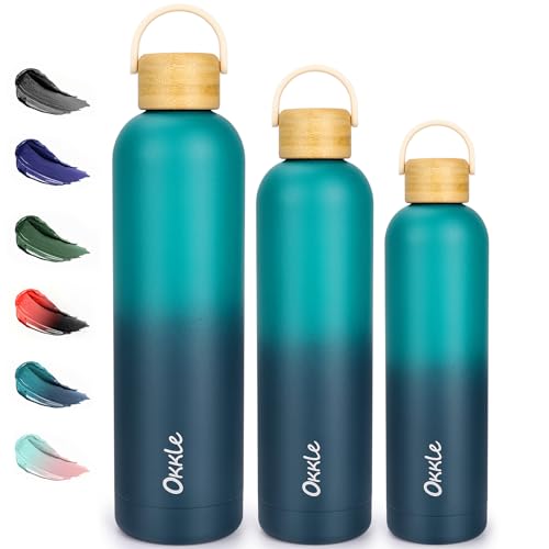Insulated Water Bottles 750 ML, Stainless Steel Water Bottle with Handle, Double Wall Drinks Bottle Keeps Water Hot 12 Hrs/Cold 29 Hrs, Leakproof BPA Free Hot and Cold Water Bottle