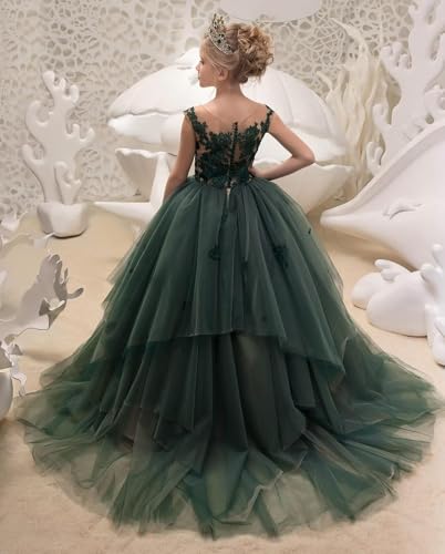 Flower Girl Dresses for Wedding Tiered Tulle Sleeveless Lace Princess Pageant Dresses Kids Prom Ball Gowns for Girls3