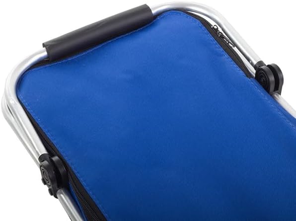 Cestino Termico Picnic, Pieghevole Portatile Pranzo Aperto, Cesto Gite Mare Montagna Parco, Caldo Freddo Alimenti Bevande Lungo, Comfort Maniglie Cerniera Fondo Rigido Anti Scivolo (BLU)
