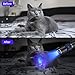 DARKBEAM UV 365nm Flashlight Black Light LED, Ultraviolet Flashlights, Powerful Rechargeable USB -C Woods Lamp, Focusable Water Resistant, Pet Urine & AC Leak Detection, for Curing Resin