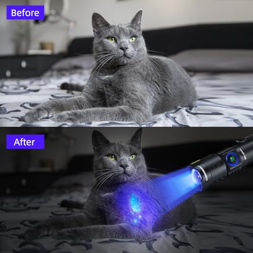 DARKBEAM UV 365nm Flashlight Black Light LED, Ultraviolet Flashlights, Powerful Rechargeable USB -C Woods Lamp, Focusable Water Resistant, Pet Urine & AC Leak Detection, for Curing Resin