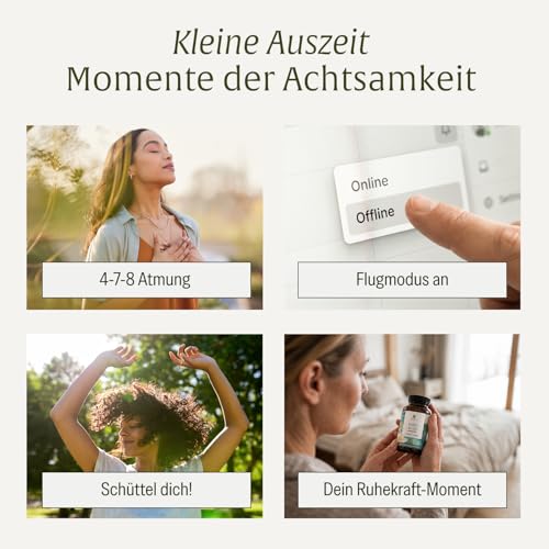 Foto von NATURTREU® Ashwagandha Kapseln hochdosiert - 120 vegane Kapseln - 500 mg Ashwagandha pro Tag - Ashwagandha Komplex mit Rosenwurz-Extrakt - ohne unerwünschte Zusatzstoffe