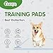 COCOYO Best Value Dog Training Pads Giant Size | Dog Pee Pads XXXL Size | Super Absorbent Puppy Pads (30