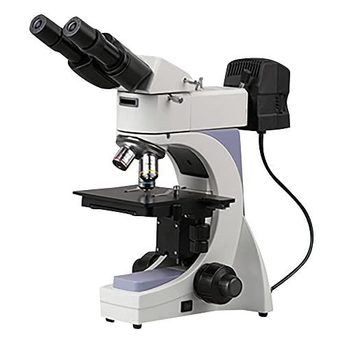 AY  MT-320 /1-1928-01