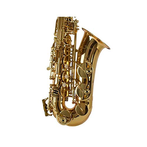 SAXOFONE ALTO SHELTER SFT6430L
