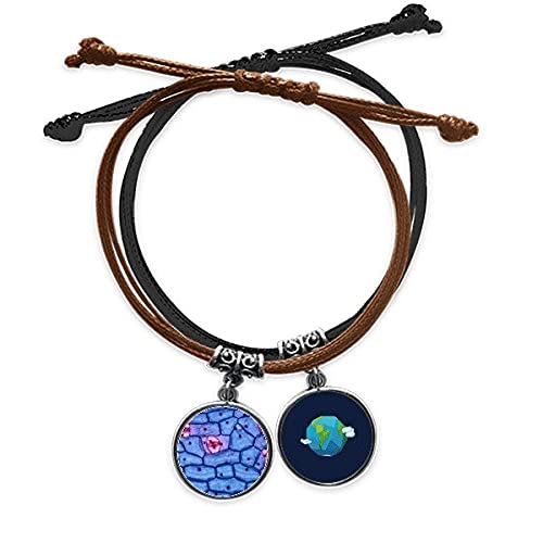 Pulsera de cuero Tierra de Plant Science: cadena de mano con modelo microcósmico de bioplástico