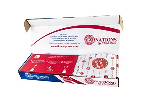 Flower Prime Flowerprime 100 Mother'S Day Carnations - Special Holiday Variety Pack Fresh Natural Cut Flowers thumb #5