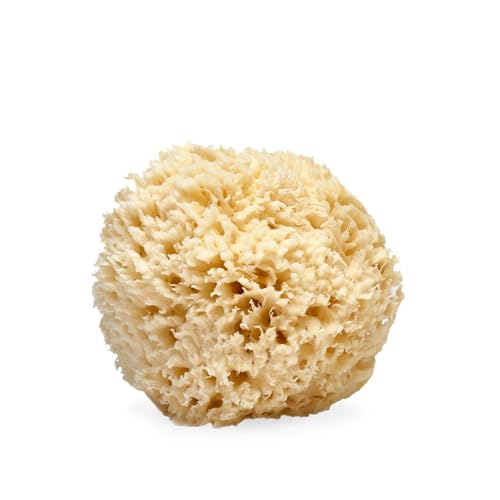 LATHER Natural Sea Wool Sponge for Body Scrubbing