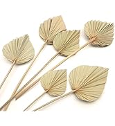 Boho Dried Palm Leaves, Small Dried Palms Plant Spears Fans, Palm Leaf with Stem for Home Office ...