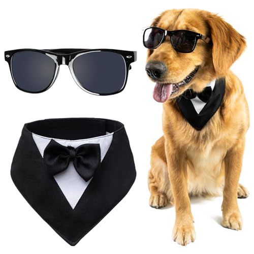Disfraz Formal de Esmoquin para Perros Grandes con Gafas