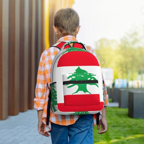 Sac à dos ordinateur Liban protège votre matériel en vol et travail - 7