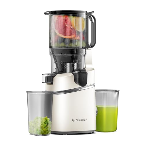 AMZCHEF Cold Press Slow Juicer - Masticating Juicer