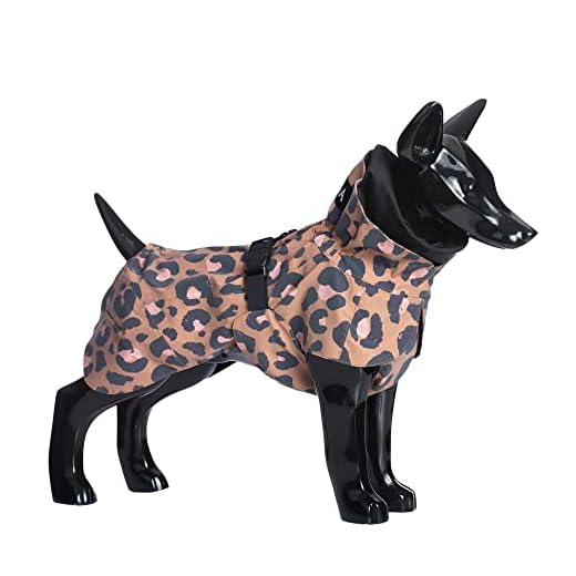 PAIKKA Zichtbare regenjas Lite Leo 55