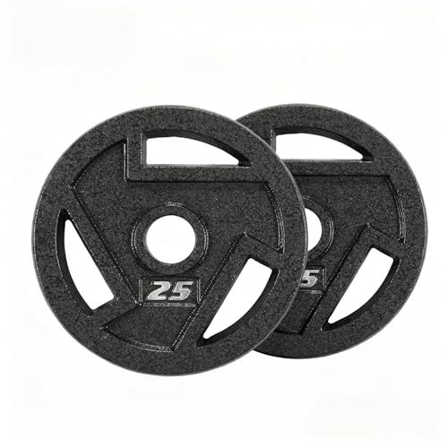 Elevon Olympic 2-Inch Cast Iron Weight Plate for Strength Training and Weightlifting Olympic Grip Plate for Barbell