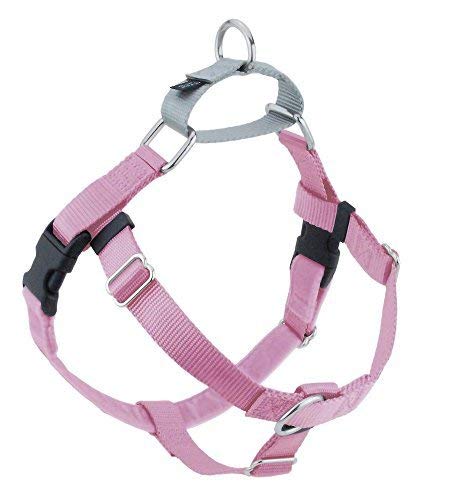 2 Hounds Design Freedom No-Pull Dog Harness with Leash, Large, 1-Inch Wide, Raspberry