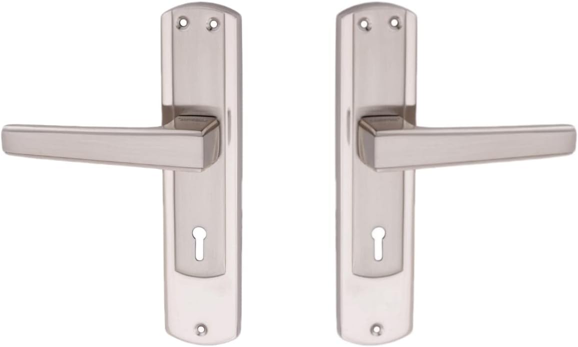 FABBRO PLUS Leo 8 Inch Economic Mortise Lockset with 65mm Heavy Lock and 3 Keys for Your Rooms, Silver Color, Liver Handle Pattern