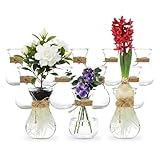 Les vases avec nœuds de différentes couleurs peuvent être placés lors de fêtes, sur le balcon, dans le jardin, ou peuvent également être remplis comme flacons en verre et utilisés en kit selon vos souhaits. Les flacons sont disponibles en différentes quantités, idéales comme décoration de mariage ou pour une belle fête d'anniversaire.