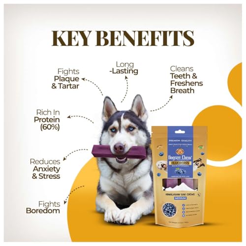 Image of Dogsee Flavored Himalayan Yak Cheese Dental Chews for Dogs 140g (Medium - 2 Chews) | for Healthy Skin & Coat | No Grain, No Gluten | Odorless Dog Treats (Medium, Blueberry)
