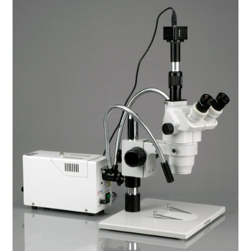 Amscope Zm-1Tw3-Fod-10M Digital Professional Trinocular Stereo Zoom Microscope, Ew10X And Ew25X Eyepieces, 2X-225X Magnification, 0.67X-4.5X Zoom Objective, Dual-Gooseneck Fiber-Optic Light, Large Pillar-Style Table Stand, 110V-240V, Includes 0.3X And 2.0X Barlow Lenses, 10Mp Camera With Reduction Lens, And Software #TOP3