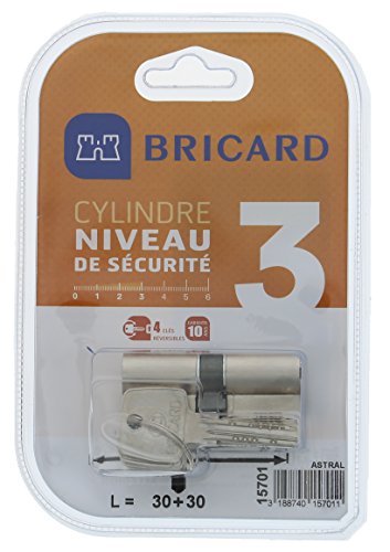 Bricard 15701 Cylindre Astral 2,9 en Laiton Nickelé 10 pistons/2 entrées 30 + 30